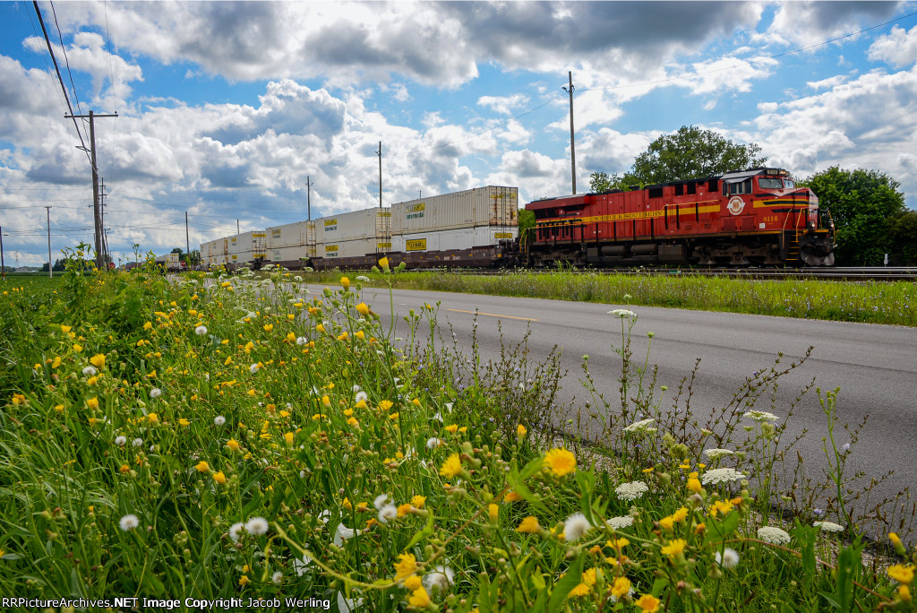 NS 8114